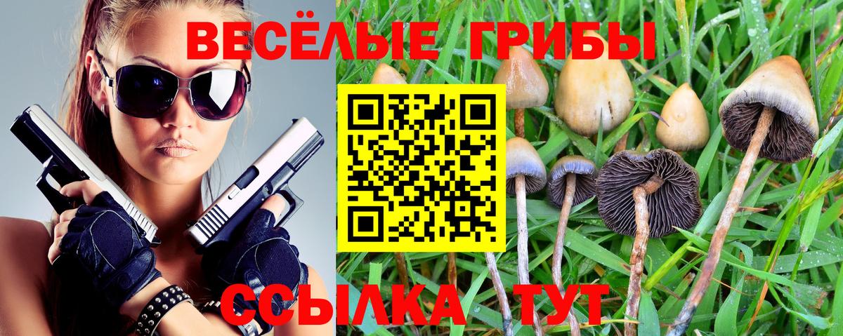 Самара  Галлюциногенные грибы прущие грибы  Псилоцибиновые грибы GOLDEN TEACHER  Вход с VPN 
