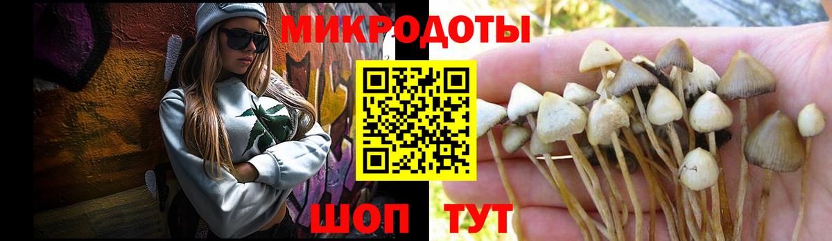 Псилоцибиновые грибы Psilocybe Самара